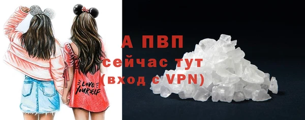 PSILOCYBIN Навашино