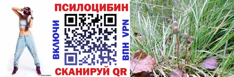 Галлюциногенные грибы Magic Shrooms  Бакал 